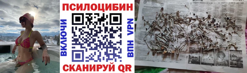 hydra tor  хочу наркоту  Мариинск  Галлюциногенные грибы Magic Shrooms 